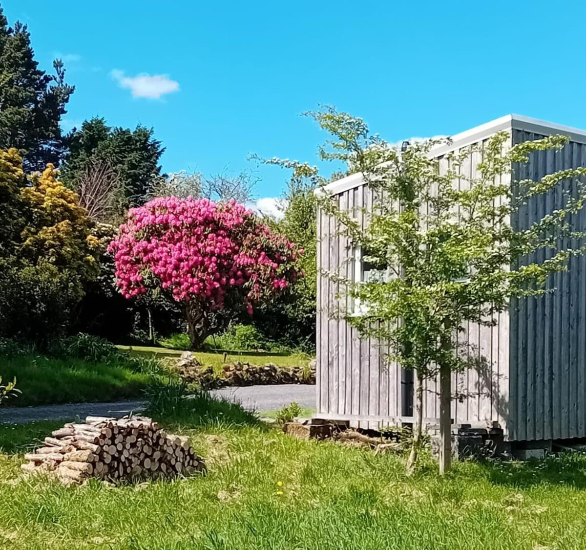 Innisfreedom Cabin Sligo Exterior foto